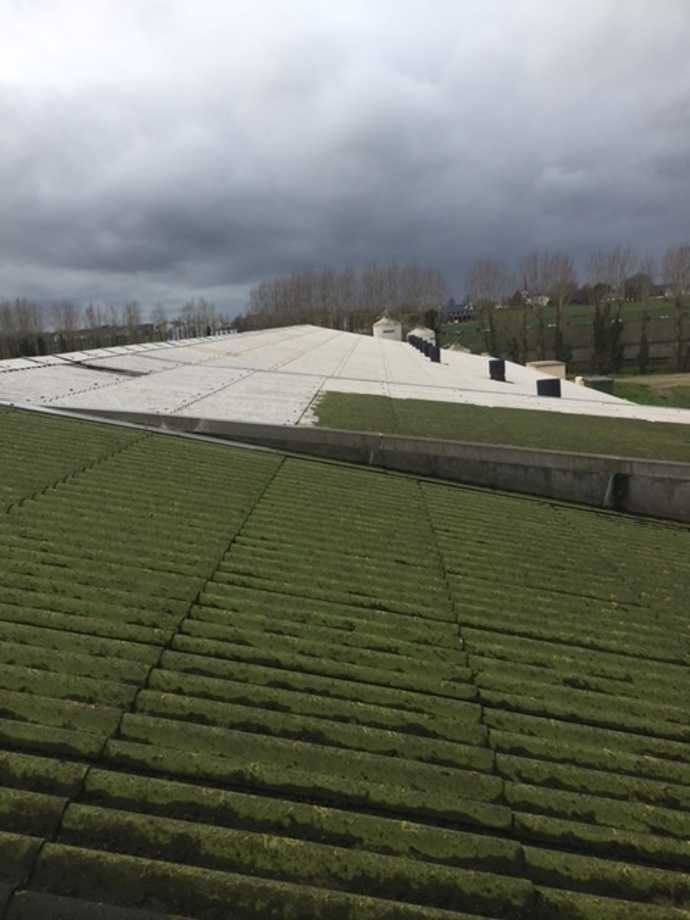 demoussage murs et toitures batiments agricoles demoussage murs et toitures batiments agricoles